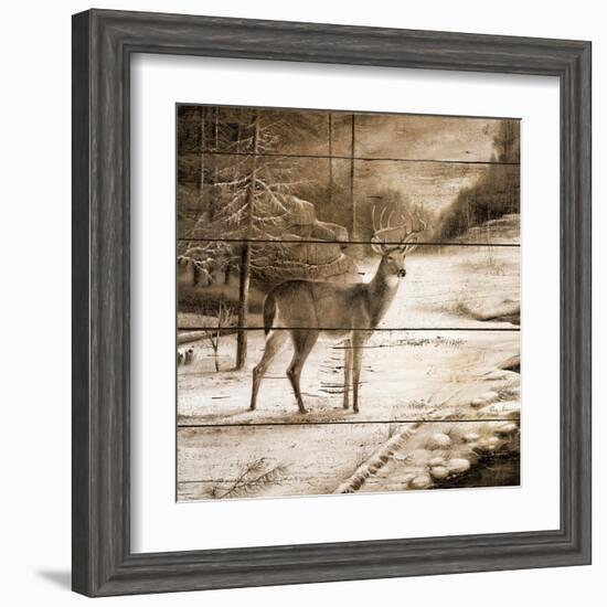 Shadows of the Forest-Ruane Manning-Framed Art Print