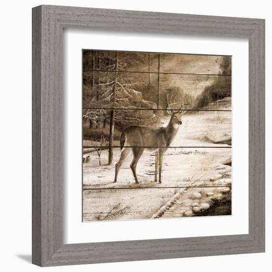 Shadows of the Forest-Ruane Manning-Framed Art Print