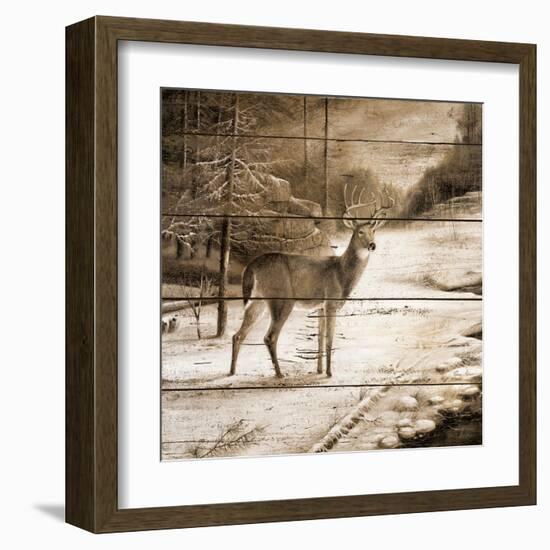 Shadows of the Forest-Ruane Manning-Framed Art Print