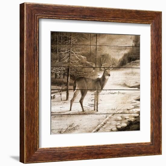 Shadows of the Forest-Ruane Manning-Framed Art Print