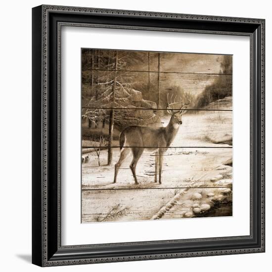 Shadows of the Forest-Ruane Manning-Framed Art Print