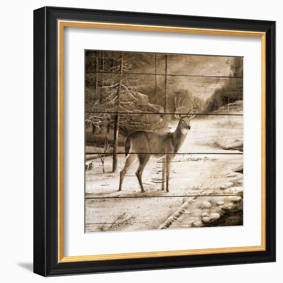 Shadows of the Forest-Ruane Manning-Framed Art Print