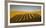 Shadows of waterbearers, Thar Desert, India-Art Wolfe-Framed Photographic Print