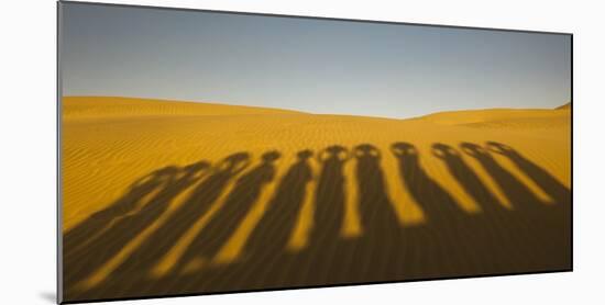 Shadows of waterbearers, Thar Desert, India-Art Wolfe-Mounted Photographic Print