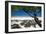 Shadows On The Beach-István Nagy-Framed Photographic Print