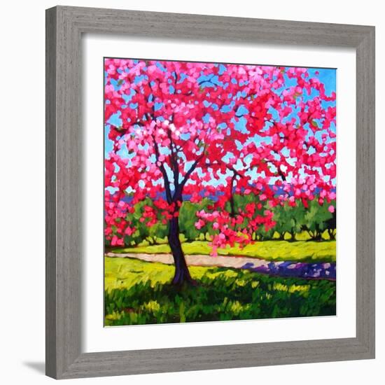 Shadows under a Blossoming Tree-Patty Baker-Framed Art Print