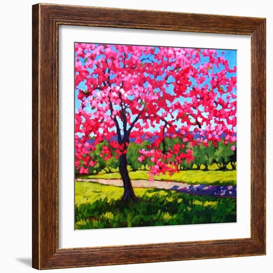 Shadows under a Blossoming Tree-Patty Baker-Framed Art Print