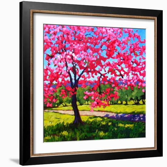 Shadows under a Blossoming Tree-Patty Baker-Framed Art Print