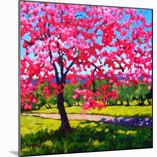 Shadows under a Blossoming Tree-Patty Baker-Mounted Art Print