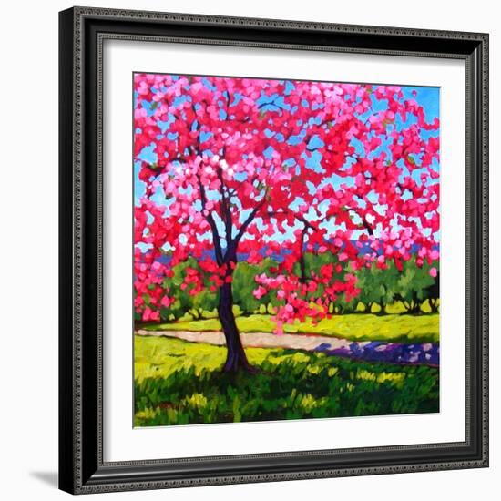 Shadows under a Blossoming Tree-Patty Baker-Framed Art Print