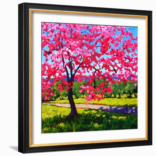 Shadows under a Blossoming Tree-Patty Baker-Framed Art Print