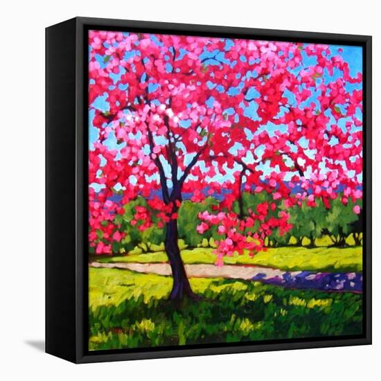 Shadows under a Blossoming Tree-Patty Baker-Framed Stretched Canvas