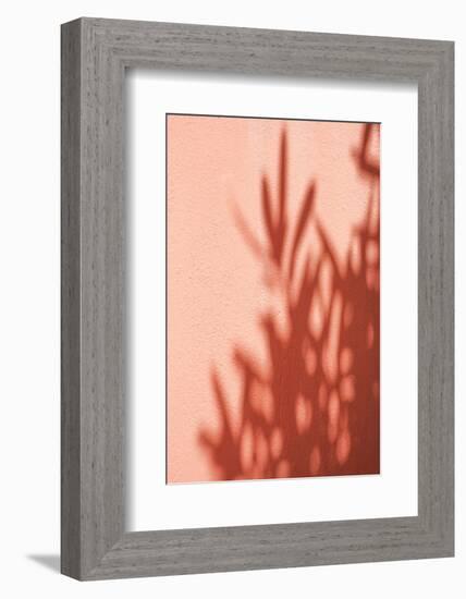 Shadows-Henrike Schenk-Framed Photographic Print