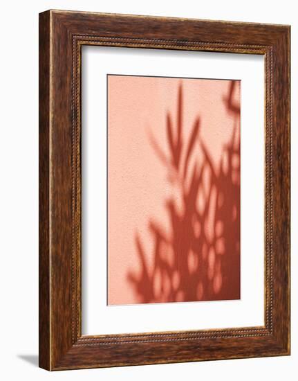 Shadows-Henrike Schenk-Framed Photographic Print