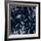 Shadowy Vines I-Victoria Barnes-Framed Premium Giclee Print