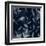 Shadowy Vines I-Victoria Barnes-Framed Art Print