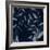 Shadowy Vines IV-Victoria Barnes-Framed Art Print