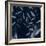 Shadowy Vines IV-Victoria Barnes-Framed Premium Giclee Print