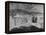 "Shadwell", Birthplace of Thomas Jefferson-null-Framed Premier Image Canvas