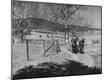Photographic Print
