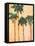 Shady Palms-Jane Slivka-Framed Stretched Canvas