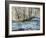 Shady River-Alexys Henry-Framed Giclee Print