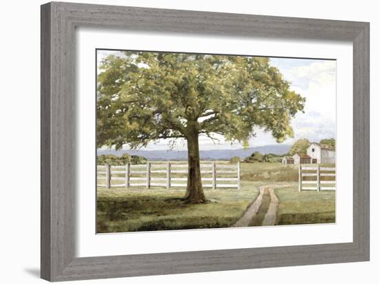 Shady Tree-Mark Chandon-Framed Giclee Print