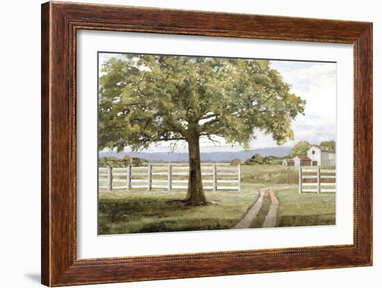 Shady Tree-Mark Chandon-Framed Giclee Print