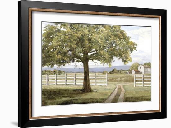 Shady Tree-Mark Chandon-Framed Giclee Print