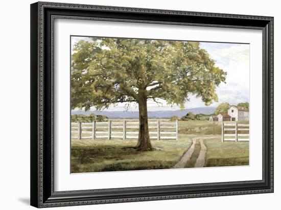 Shady Tree-Mark Chandon-Framed Giclee Print