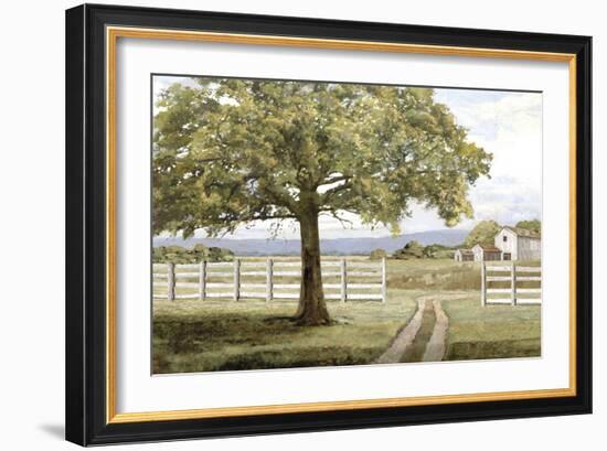 Shady Tree-Mark Chandon-Framed Giclee Print