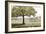 Shady Tree-Mark Chandon-Framed Giclee Print