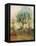 Shady Tree-Ken Roko-Framed Stretched Canvas