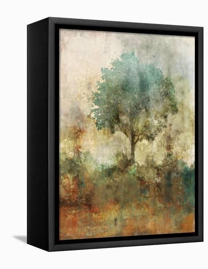 Shady Tree-Ken Roko-Framed Stretched Canvas