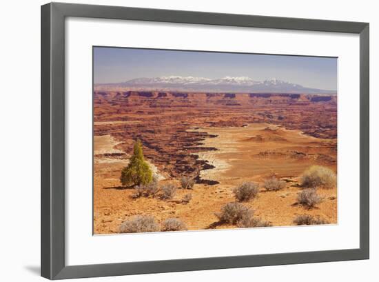 Shafer Trail Overlook, Canyonlands National Park, La Sal Mountains, Utah, Usa-Rainer Mirau-Framed Photographic Print