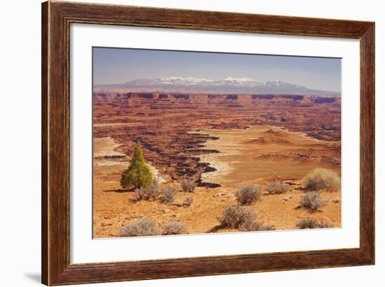 Shafer Trail Overlook, Canyonlands National Park, La Sal Mountains, Utah, Usa-Rainer Mirau-Framed Photographic Print