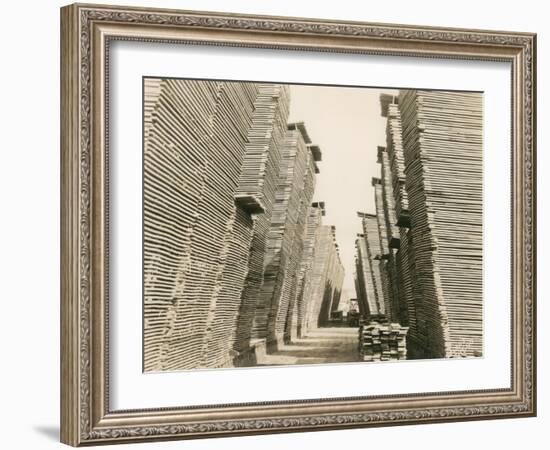 Shaffer Box - Lumber Piles, 1928-Marvin Boland-Framed Giclee Print