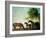 Shafto Mares and a Foal-George Stubbs-Framed Giclee Print