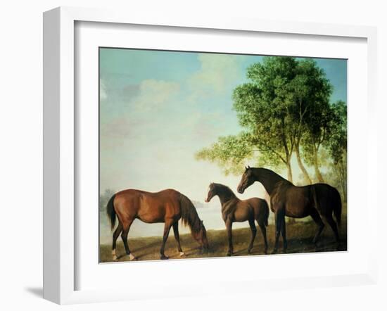Shafto Mares and a Foal-George Stubbs-Framed Giclee Print
