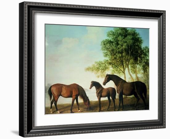 Shafto Mares and a Foal-George Stubbs-Framed Giclee Print