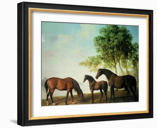 Shafto Mares and a Foal-George Stubbs-Framed Giclee Print