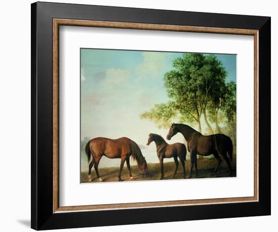 Shafto Mares and a Foal-George Stubbs-Framed Giclee Print