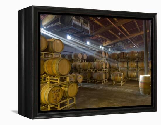 Shafts of Light in Barrel Room of Montevina Winery, Shenandoah Valley, California, USA-Janis Miglavs-Framed Premier Image Canvas