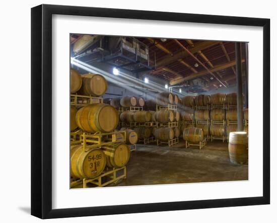 Shafts of Light in Barrel Room of Montevina Winery, Shenandoah Valley, California, USA-Janis Miglavs-Framed Photographic Print