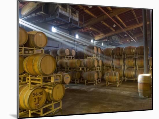 Shafts of Light in Barrel Room of Montevina Winery, Shenandoah Valley, California, USA-Janis Miglavs-Mounted Photographic Print