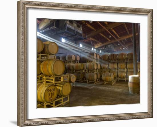 Shafts of Light in Barrel Room of Montevina Winery, Shenandoah Valley, California, USA-Janis Miglavs-Framed Photographic Print