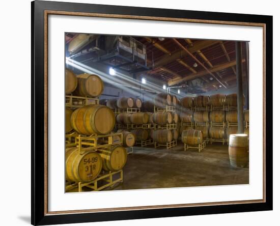 Shafts of Light in Barrel Room of Montevina Winery, Shenandoah Valley, California, USA-Janis Miglavs-Framed Photographic Print