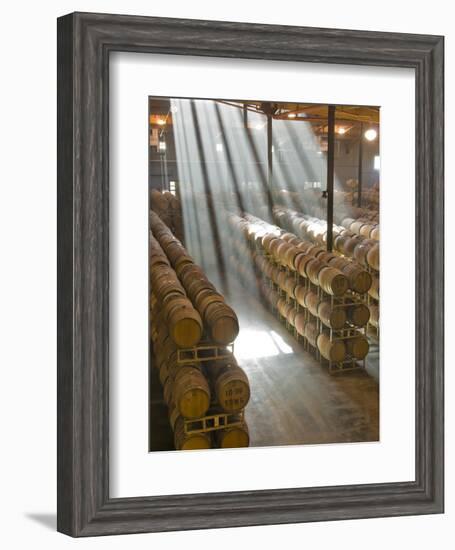 Shafts of Light in Barrel Room of Montevina Winery, Shenandoah Valley, California, USA-Janis Miglavs-Framed Photographic Print