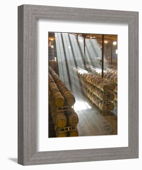 Shafts of Light in Barrel Room of Montevina Winery, Shenandoah Valley, California, USA-Janis Miglavs-Framed Photographic Print