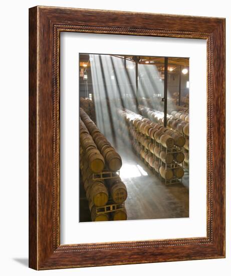 Shafts of Light in Barrel Room of Montevina Winery, Shenandoah Valley, California, USA-Janis Miglavs-Framed Photographic Print